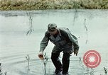 Image of Dichloro-Diphenyl-Trichloroethane United States USA, 1944, second 56 stock footage video 65675077533