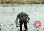 Image of Dichloro-Diphenyl-Trichloroethane United States USA, 1944, second 57 stock footage video 65675077533