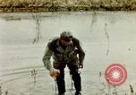 Image of Dichloro-Diphenyl-Trichloroethane United States USA, 1944, second 58 stock footage video 65675077533
