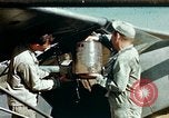 Image of Dichloro-Diphenyl-Trichloroethane United States USA, 1944, second 1 stock footage video 65675077534
