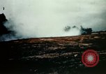 Image of Dichloro-Diphenyl-Trichloroethane United States USA, 1944, second 38 stock footage video 65675077534