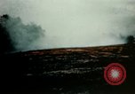 Image of Dichloro-Diphenyl-Trichloroethane United States USA, 1944, second 42 stock footage video 65675077534