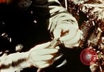 Image of Dichloro-Diphenyl-Trichloroethane United States USA, 1944, second 43 stock footage video 65675077534