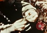 Image of Dichloro-Diphenyl-Trichloroethane United States USA, 1944, second 44 stock footage video 65675077534