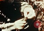 Image of Dichloro-Diphenyl-Trichloroethane United States USA, 1944, second 45 stock footage video 65675077534