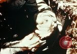 Image of Dichloro-Diphenyl-Trichloroethane United States USA, 1944, second 47 stock footage video 65675077534
