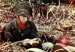 Image of Dichloro-Diphenyl-Trichloroethane United States USA, 1944, second 48 stock footage video 65675077534