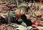 Image of Dichloro-Diphenyl-Trichloroethane United States USA, 1944, second 49 stock footage video 65675077534