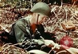 Image of Dichloro-Diphenyl-Trichloroethane United States USA, 1944, second 50 stock footage video 65675077534