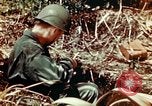 Image of Dichloro-Diphenyl-Trichloroethane United States USA, 1944, second 51 stock footage video 65675077534