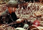 Image of Dichloro-Diphenyl-Trichloroethane United States USA, 1944, second 52 stock footage video 65675077534