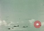 Image of Dichloro-Diphenyl-Trichloroethane United States USA, 1944, second 62 stock footage video 65675077534