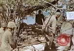 Image of wounded evacuated to hospital ship Saipan Northern Mariana Islands, 1945, second 7 stock footage video 65675077537