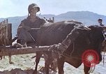 Standbild verwundete Marines Saipan Nördliche Marianen, 1945, aus Sekunde 53 historischem Filmmaterial Videoclip 65675077538