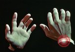 Standbild menschliche Hand United States USA, 1945, aus Sekunde 17 historischem Filmmaterial Videoclip 65675077547