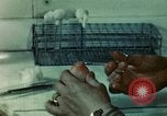 Standbild menschliche Hand United States USA, 1945, aus Sekunde 33 historischem Filmmaterial Videoclip 65675077547