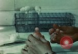 Standbild menschliche Hand United States USA, 1945, aus Sekunde 34 historischem Filmmaterial Videoclip 65675077547
