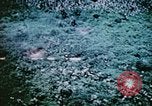 Standbild Pest Control Nordafrika, 1945, aus Sekunde 24 historischem Filmmaterial Videoclip 65675077552