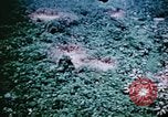Standbild Pest Control Nordafrika, 1945, aus Sekunde 26 historischem Filmmaterial Videoclip 65675077552
