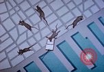 Standbild Pest Control Nordafrika, 1945, aus Sekunde 6 historischem Filmmaterial Videoclip 65675077553