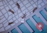 Standbild Pest Control Nordafrika, 1945, aus Sekunde 7 historischem Filmmaterial Videoclip 65675077553