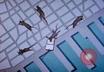 Standbild Pest Control Nordafrika, 1945, aus Sekunde 8 historischem Filmmaterial Videoclip 65675077553