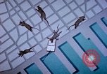 Standbild Pest Control Nordafrika, 1945, aus Sekunde 9 historischem Filmmaterial Videoclip 65675077553