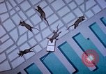 Standbild Pest Control Nordafrika, 1945, aus Sekunde 10 historischem Filmmaterial Videoclip 65675077553