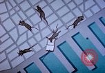 Standbild Pest Control Nordafrika, 1945, aus Sekunde 11 historischem Filmmaterial Videoclip 65675077553