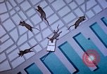 Standbild Pest Control Nordafrika, 1945, aus Sekunde 12 historischem Filmmaterial Videoclip 65675077553