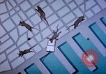 Standbild Pest Control Nordafrika, 1945, aus Sekunde 14 historischem Filmmaterial Videoclip 65675077553