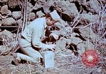 Standbild Pest Control Nordafrika, 1945, aus Sekunde 30 historischem Filmmaterial Videoclip 65675077553