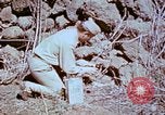 Standbild Pest Control Nordafrika, 1945, aus Sekunde 31 historischem Filmmaterial Videoclip 65675077553