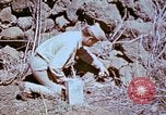 Standbild Pest Control Nordafrika, 1945, aus Sekunde 32 historischem Filmmaterial Videoclip 65675077553