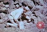 Standbild Pest Control Nordafrika, 1945, aus Sekunde 33 historischem Filmmaterial Videoclip 65675077553