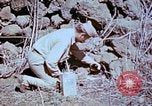 Standbild Pest Control Nordafrika, 1945, aus Sekunde 34 historischem Filmmaterial Videoclip 65675077553