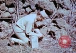 Standbild Pest Control Nordafrika, 1945, aus Sekunde 35 historischem Filmmaterial Videoclip 65675077553