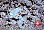 Standbild Pest Control Nordafrika, 1945, aus Sekunde 36 historischem Filmmaterial Videoclip 65675077553