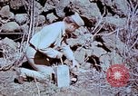 Standbild Pest Control Nordafrika, 1945, aus Sekunde 37 historischem Filmmaterial Videoclip 65675077553