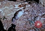Standbild Pest Control Nordafrika, 1945, aus Sekunde 40 historischem Filmmaterial Videoclip 65675077553