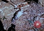 Standbild Pest Control Nordafrika, 1945, aus Sekunde 41 historischem Filmmaterial Videoclip 65675077553