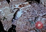 Standbild Pest Control Nordafrika, 1945, aus Sekunde 42 historischem Filmmaterial Videoclip 65675077553