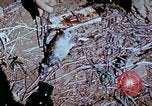 Standbild Pest Control Nordafrika, 1945, aus Sekunde 43 historischem Filmmaterial Videoclip 65675077553