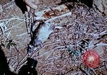 Standbild Pest Control Nordafrika, 1945, aus Sekunde 44 historischem Filmmaterial Videoclip 65675077553