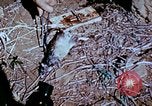 Standbild Pest Control Nordafrika, 1945, aus Sekunde 45 historischem Filmmaterial Videoclip 65675077553