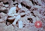 Standbild Pest Control Nordafrika, 1945, aus Sekunde 47 historischem Filmmaterial Videoclip 65675077553