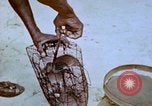 Standbild Pest Control Nordafrika, 1945, aus Sekunde 49 historischem Filmmaterial Videoclip 65675077553