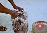 Standbild Pest Control Nordafrika, 1945, aus Sekunde 51 historischem Filmmaterial Videoclip 65675077553