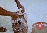 Standbild Pest Control Nordafrika, 1945, aus Sekunde 52 historischem Filmmaterial Videoclip 65675077553