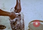 Standbild Pest Control Nordafrika, 1945, aus Sekunde 53 historischem Filmmaterial Videoclip 65675077553